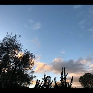 Meet your Posher, Siena